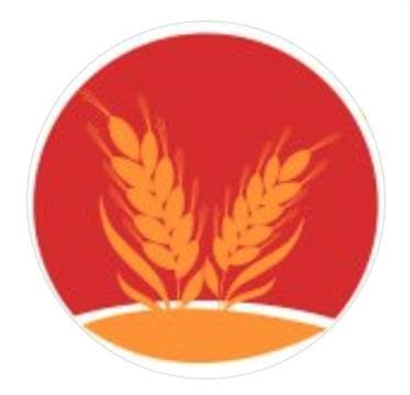 Virsa Indian Cuisine Avatar