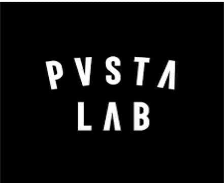 Pvsta Lab Avatar