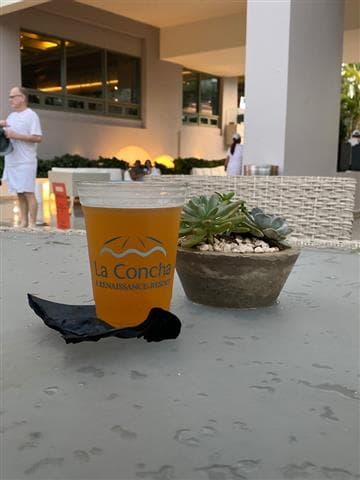 The Loft Beach Front - La Concha Avatar