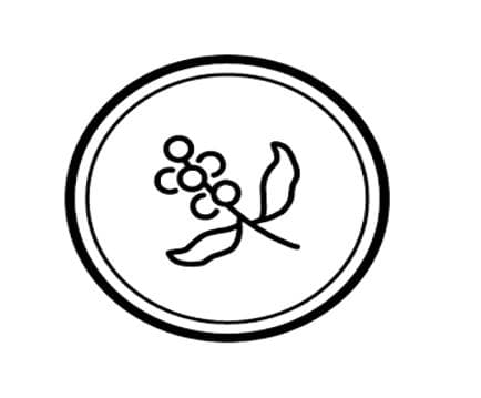 Souvenir Coffee Avatar
