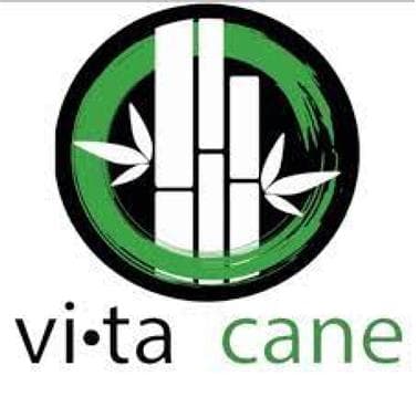 Vita Cane Los Angeles Avatar