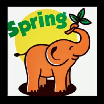 Spring Thai Fusion & Bar Avatar