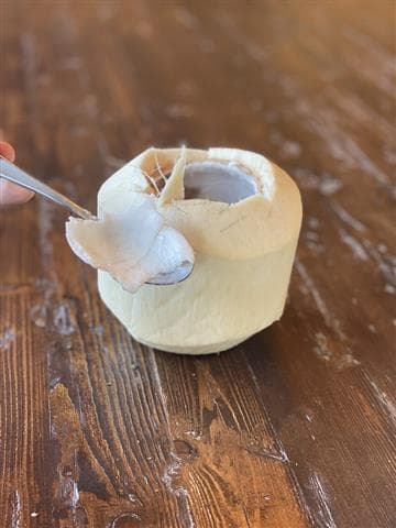 Julie Goes Green Avatar