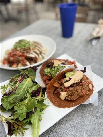 Trilogy Sanctuary Avatar