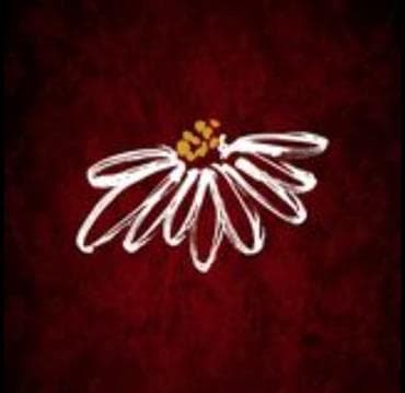 Pushing Daisies Avatar