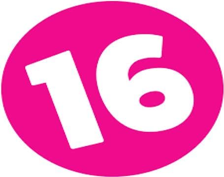 16 Handles Avatar