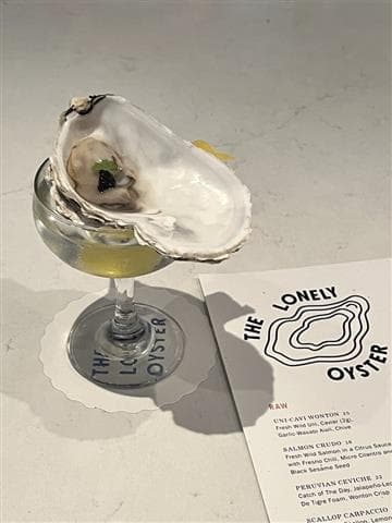 The Lonely Oyster Avatar