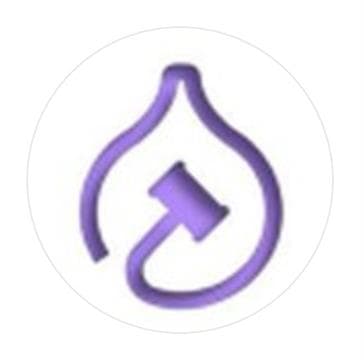 The Fig & The Judge Avatar