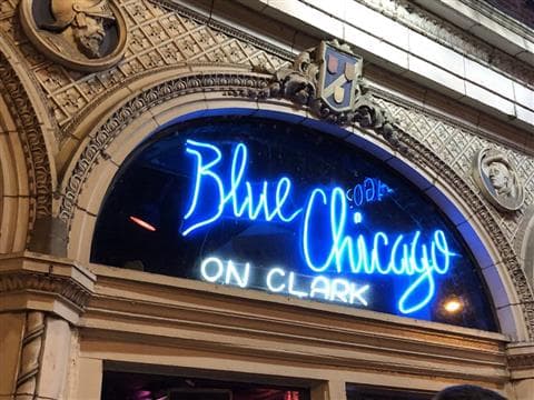 Blue Chicago Avatar