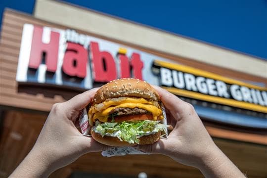 The Habit Burger Grill Avatar