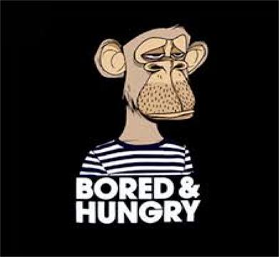 Bored & Hungry Avatar