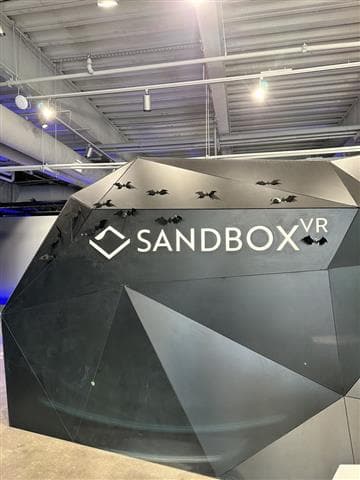Sandbox VR Avatar