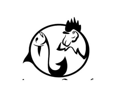 Fin & Feathers Avatar