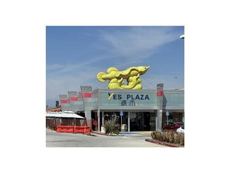Yes Plaza Avatar