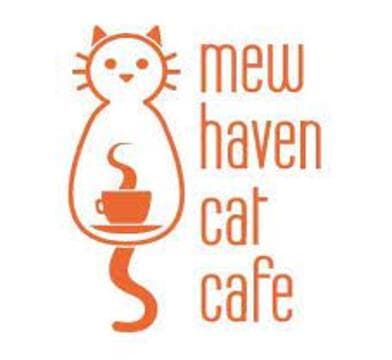Mew Haven Cat Cafe Avatar