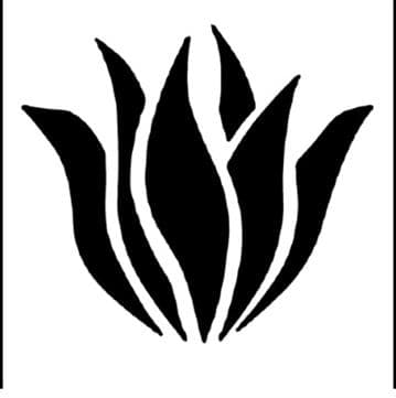 Sol Agave - Palm Springs  Avatar