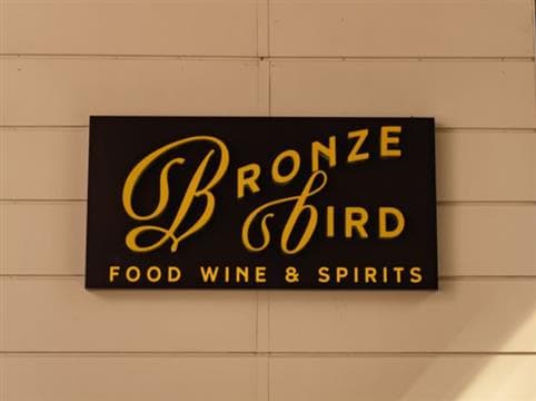 Bronze Bird Avatar