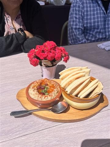 Zeytoon Café Avatar