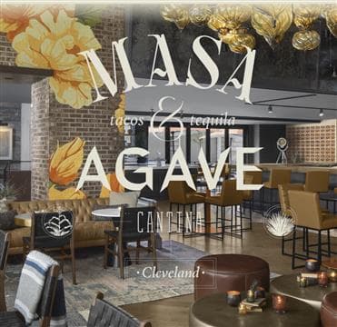 Masa & Agave Avatar
