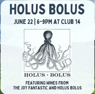 Holus Bolus & The Joy Fantastic Avatar