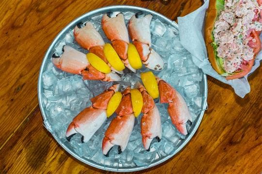 Monty's Raw Bar Avatar