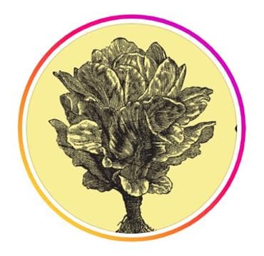 Harlow Avatar