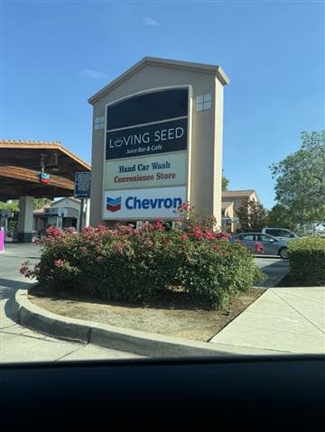 Loving Seed Avatar