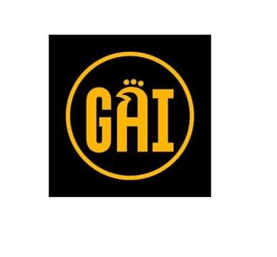 GAI Chicken & Rice Avatar