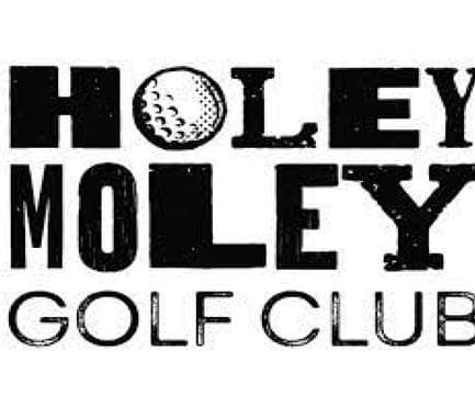 Holey Moley Golf Club Denver Avatar