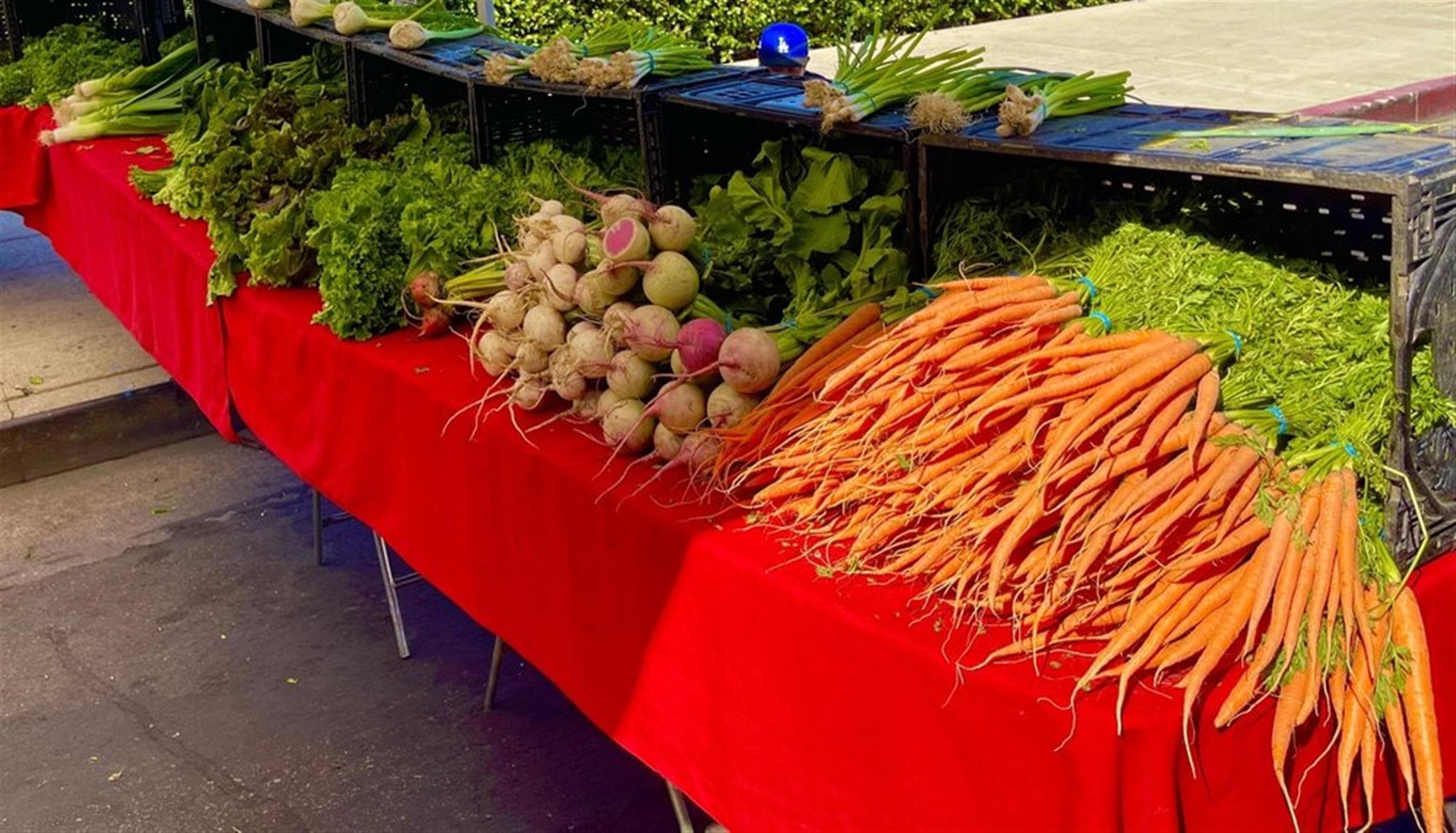 Hollywood Farmers' Market