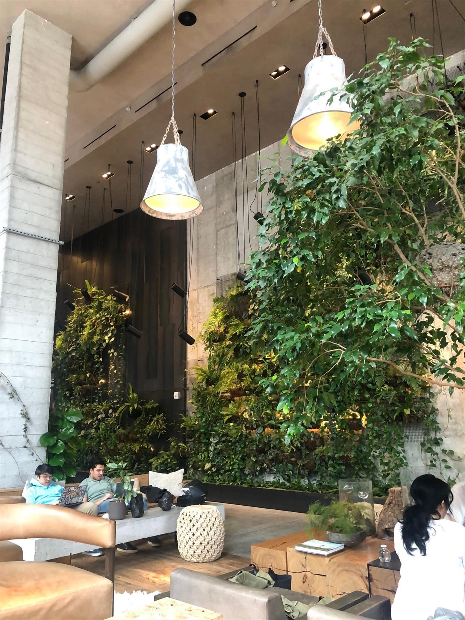 1 Hotel Brooklyn Bridge