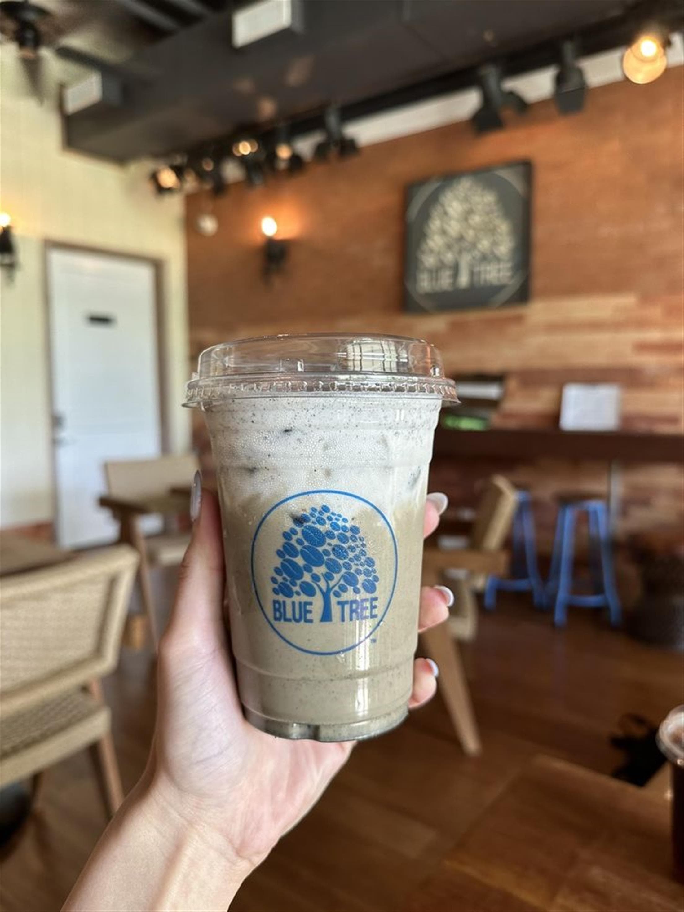 Bluetree Cafe Kakaako