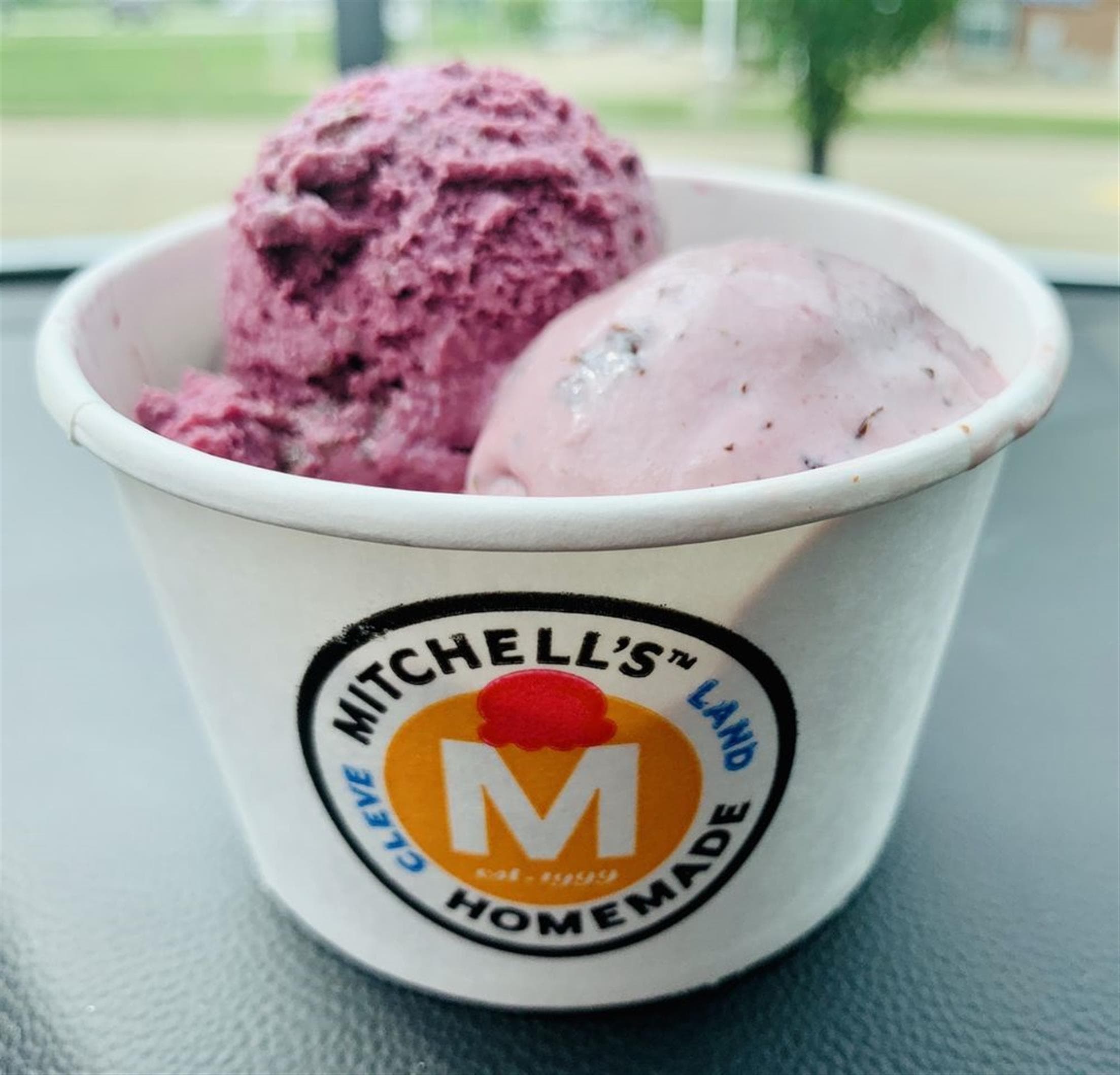 Mitchell's Homemade Ice Cream - Avon