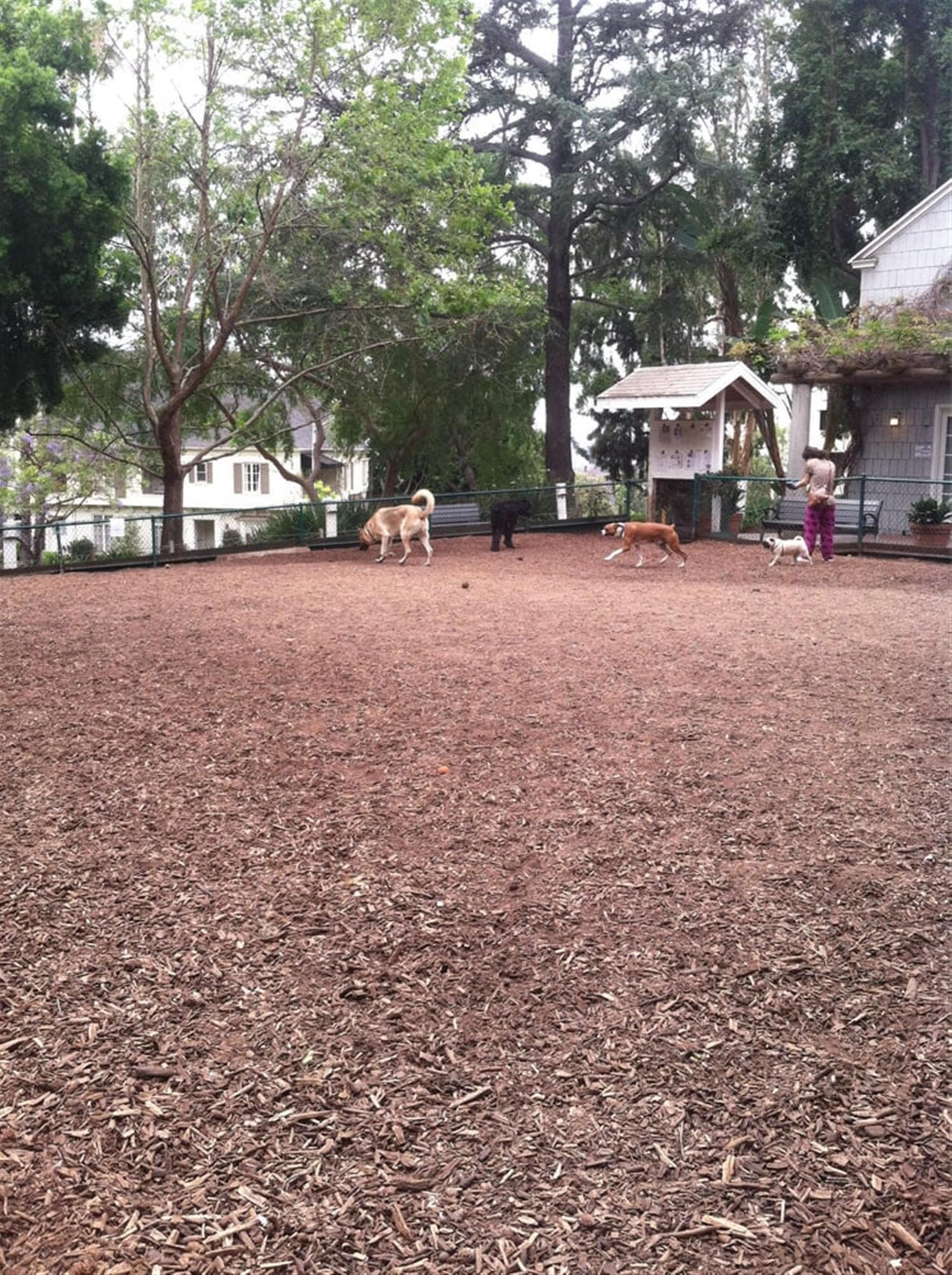William S Hart Park & Off-Leash Dog Park