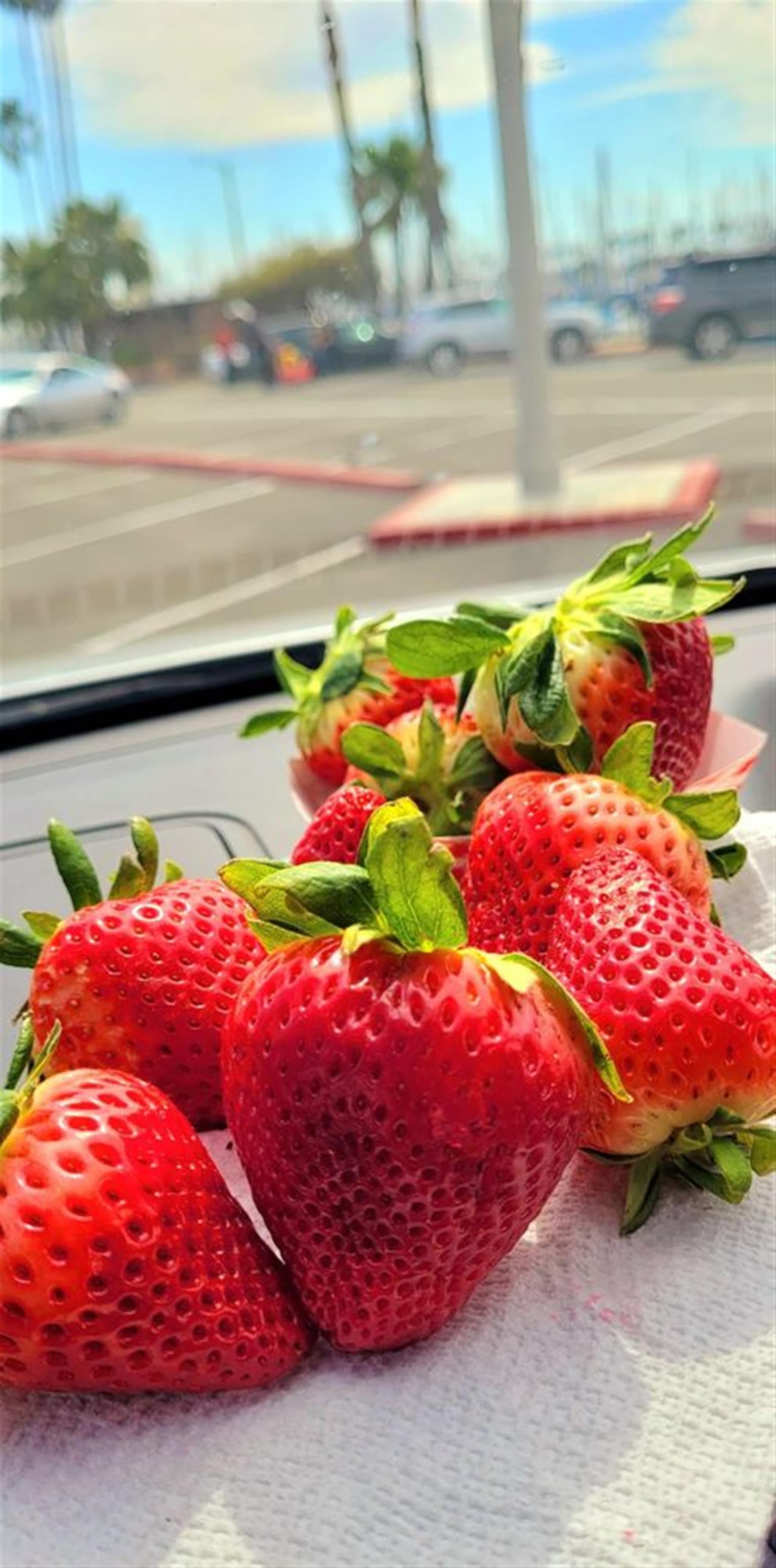 Long Beach Farmers Market