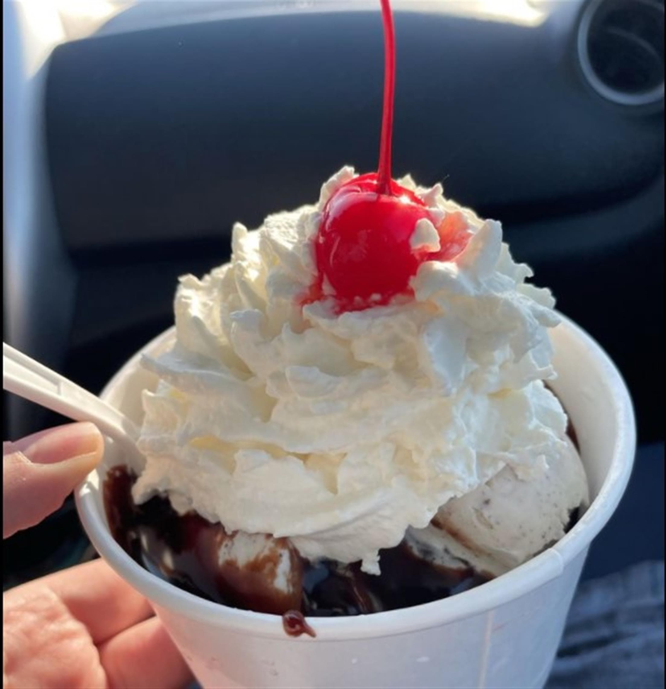 Seven Birds Ice Cream