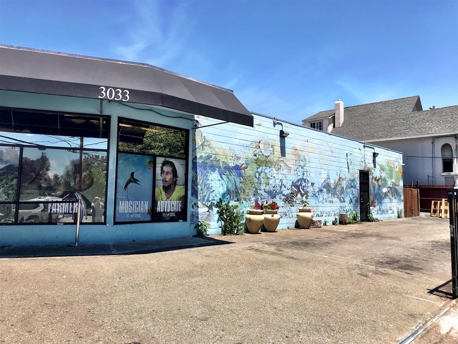 Cannabis Buyers' Club