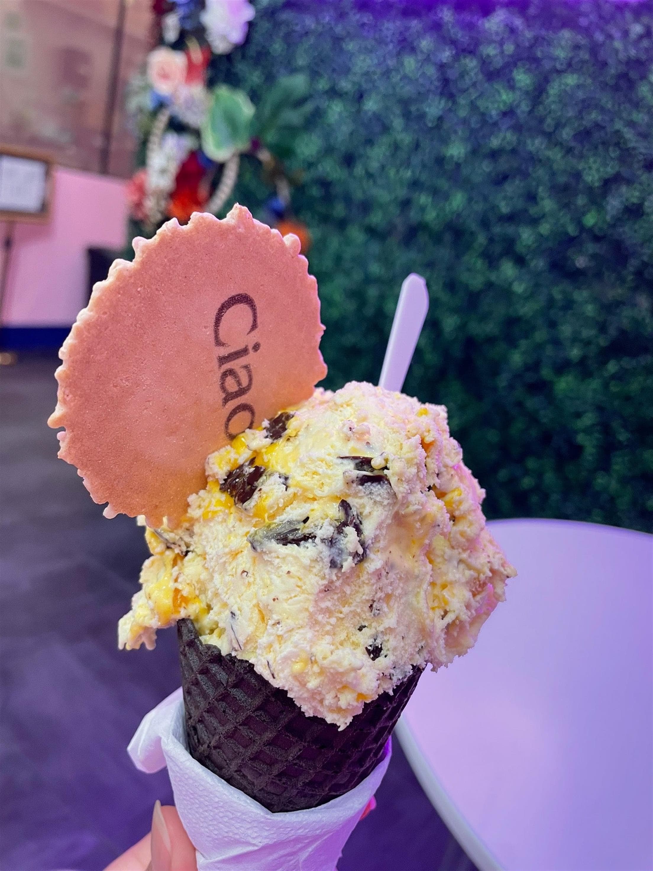 I Scream Gelato - Miami
