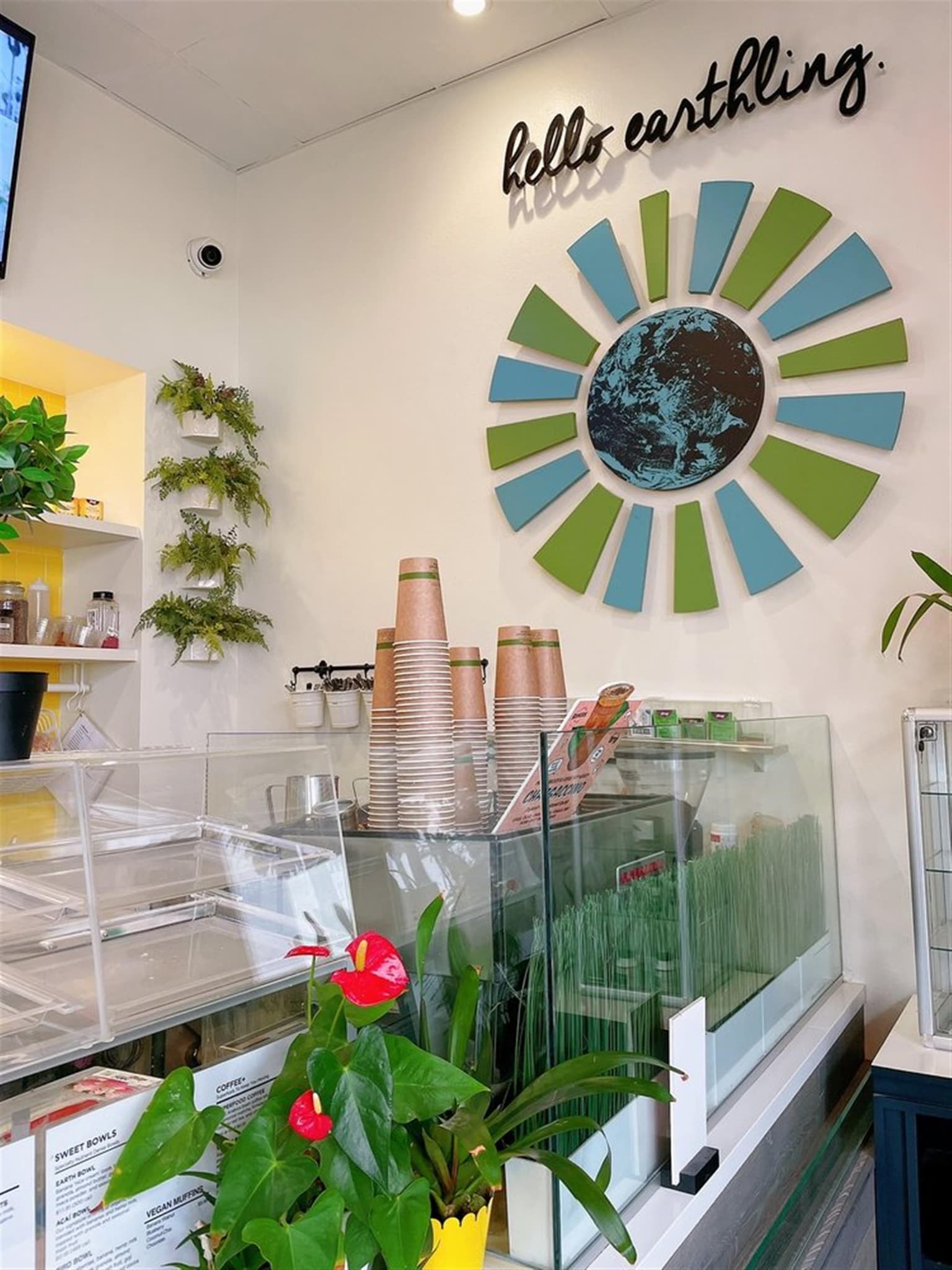 Earthbar Ocean Avenue