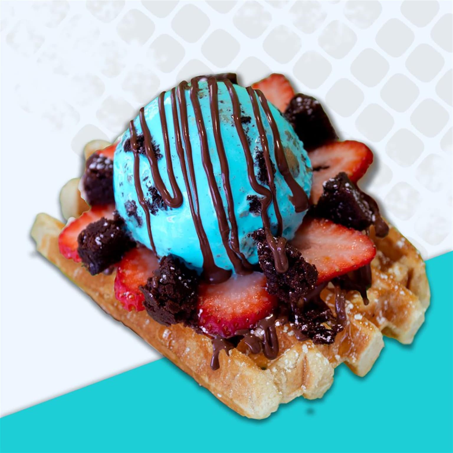 The Dolly Llama - Sherman Oaks