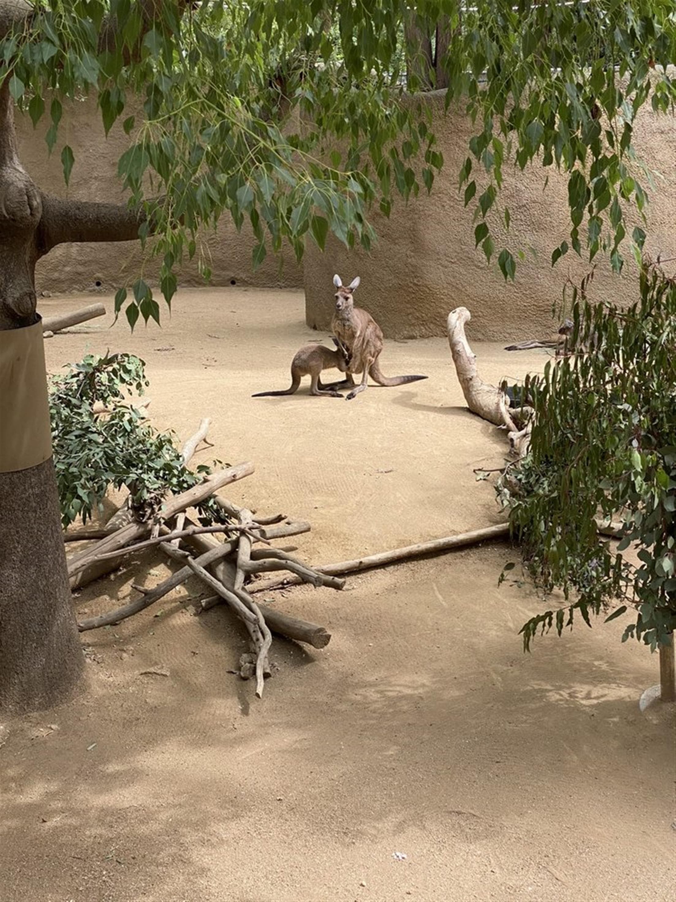 Los Angeles Zoo & Botanical Gardens