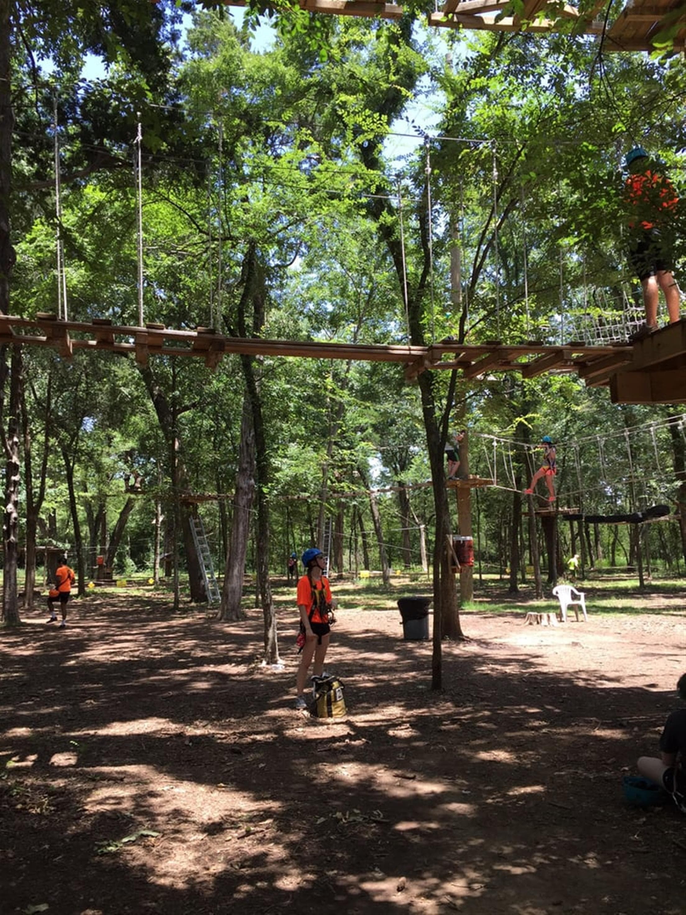Trinity Forest Adventure Park