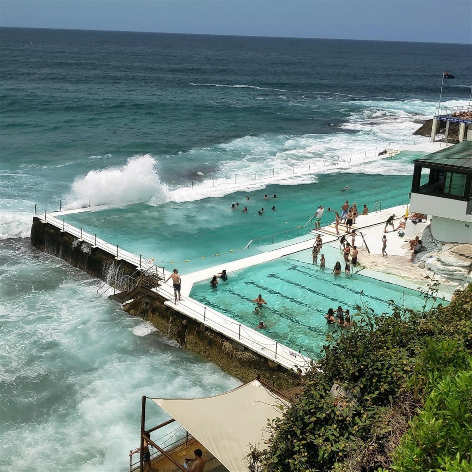 Bondi Icebergs POOL