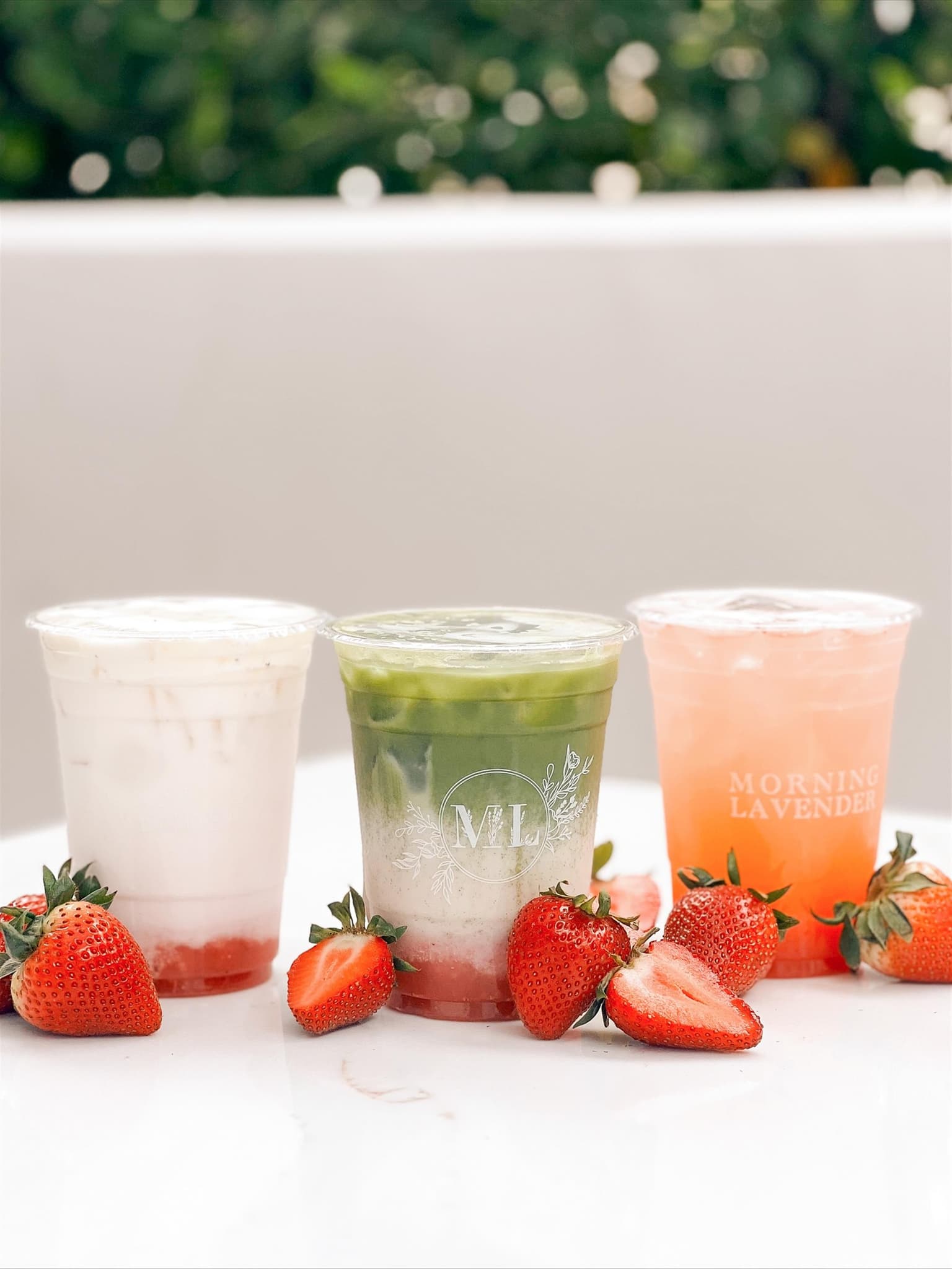 Morning Lavender Cafe