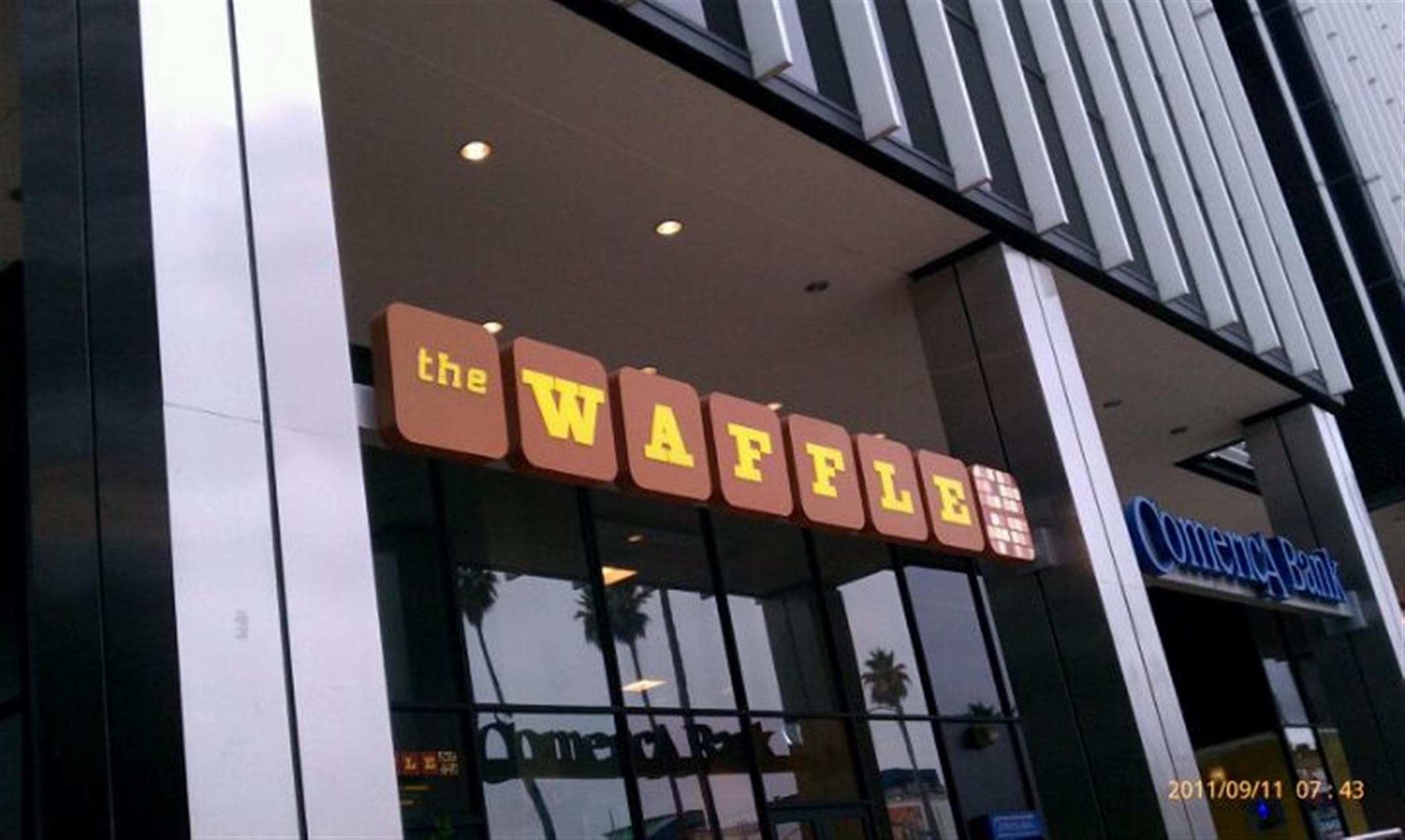 The Waffle