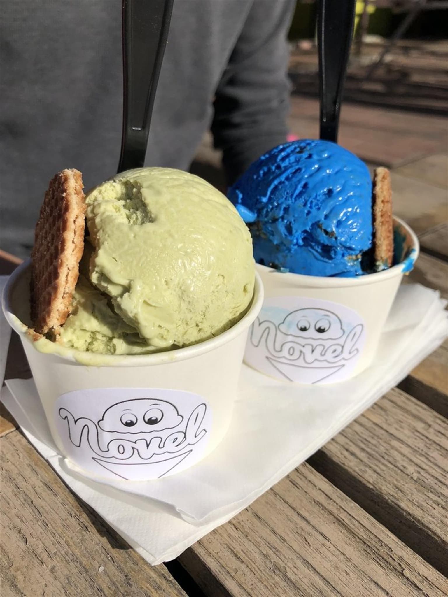Novel Ice Cream