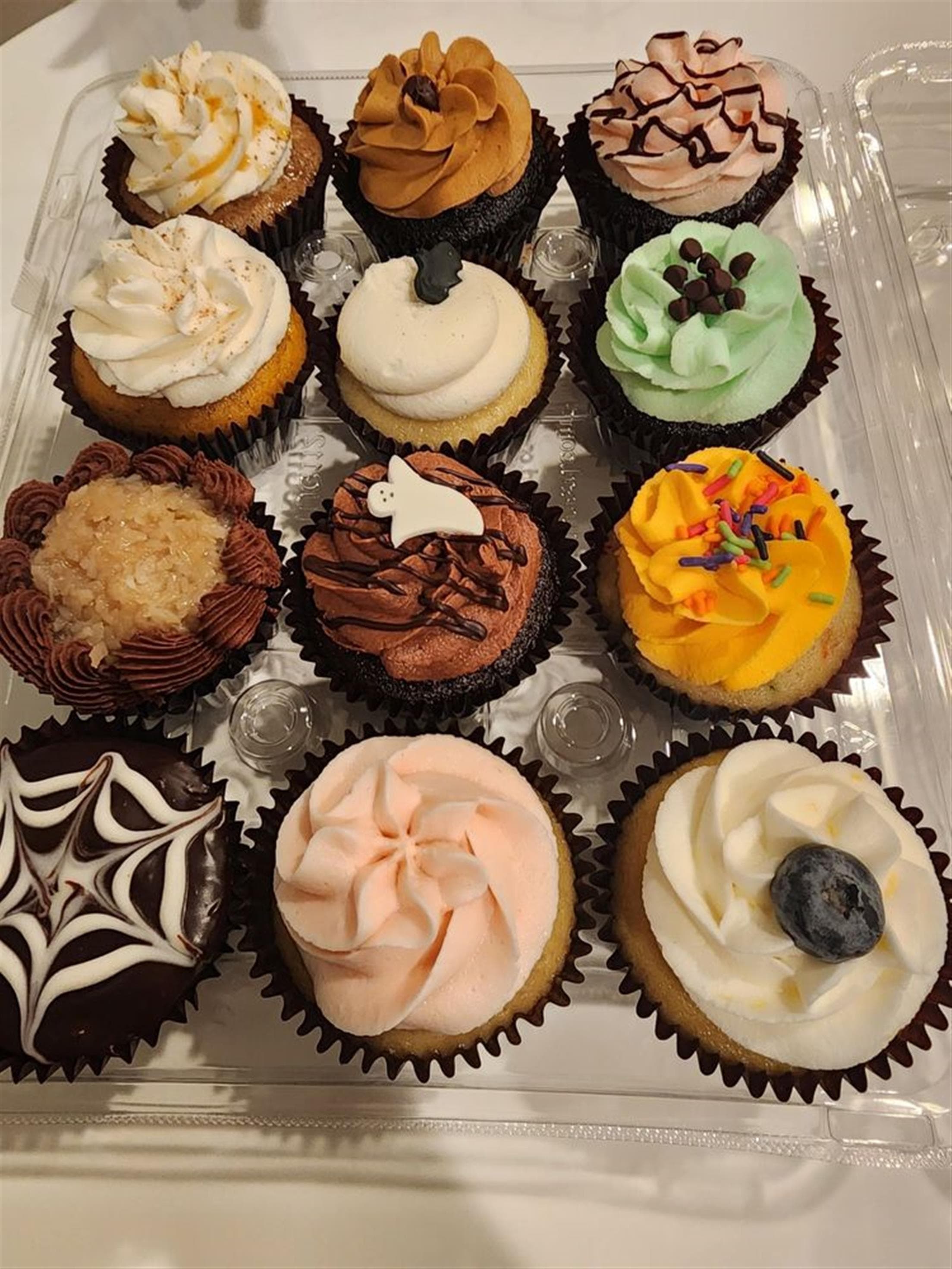 Cool Cat Cupcakes