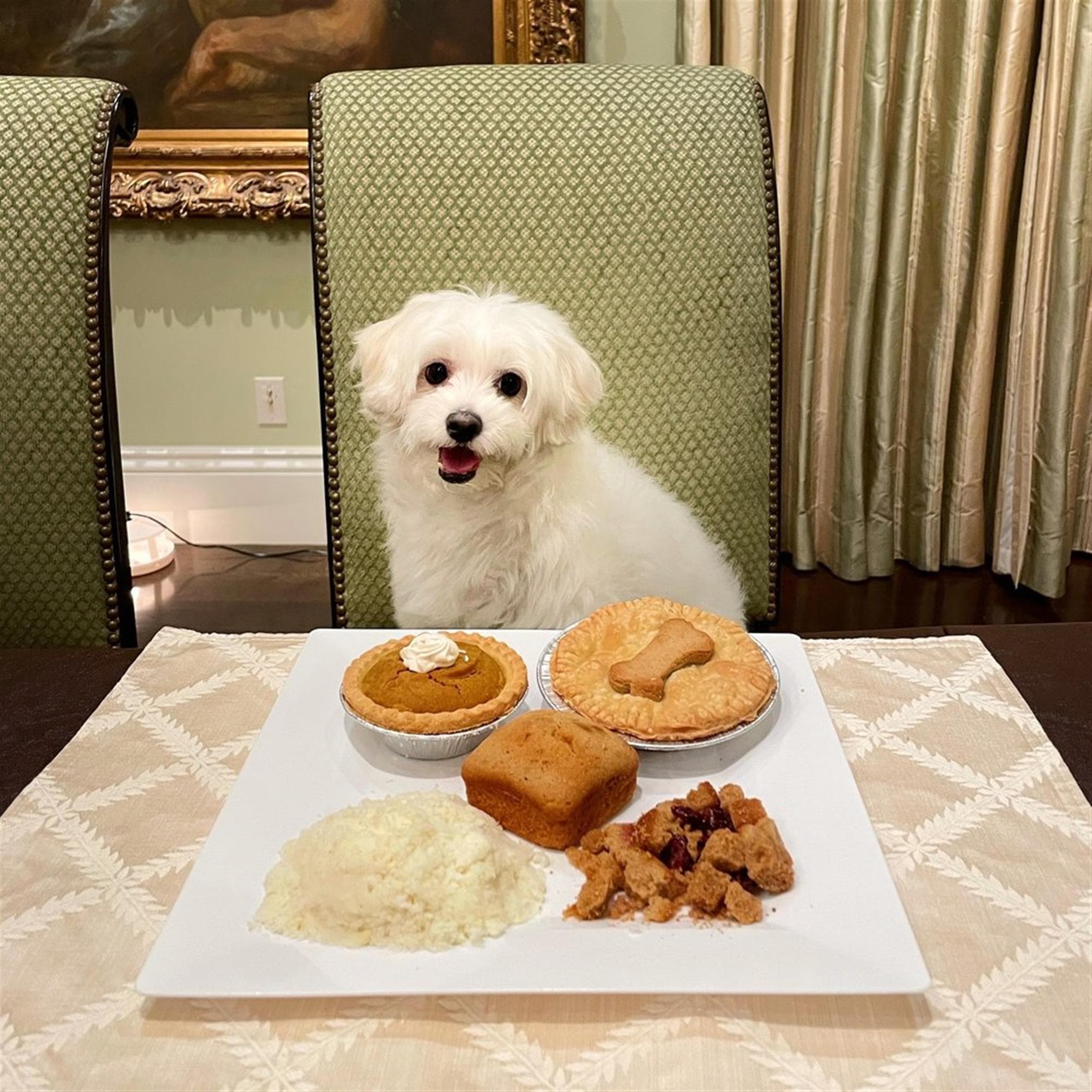The Dog Bakery