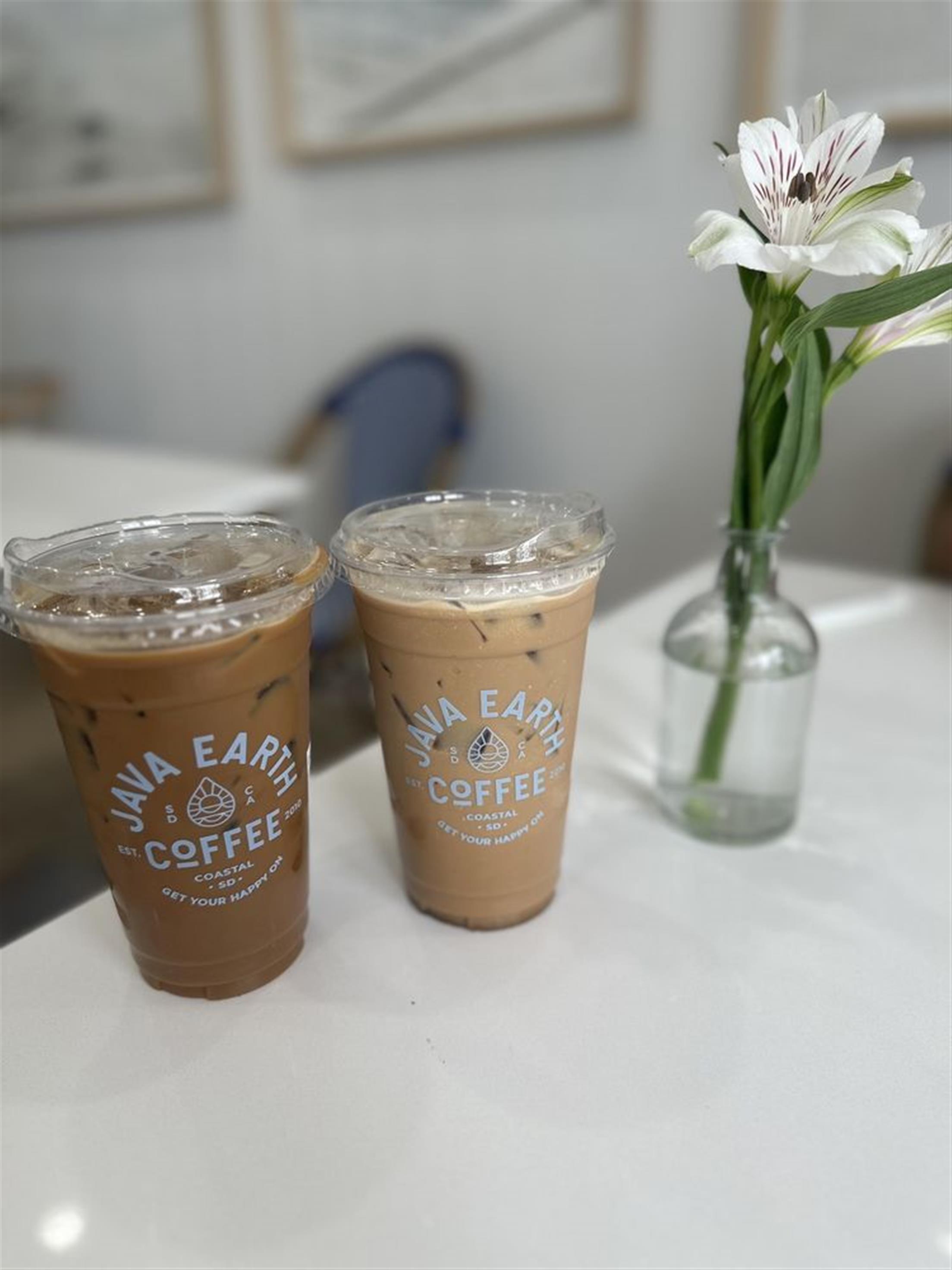 Java Earth Coffee La Jolla