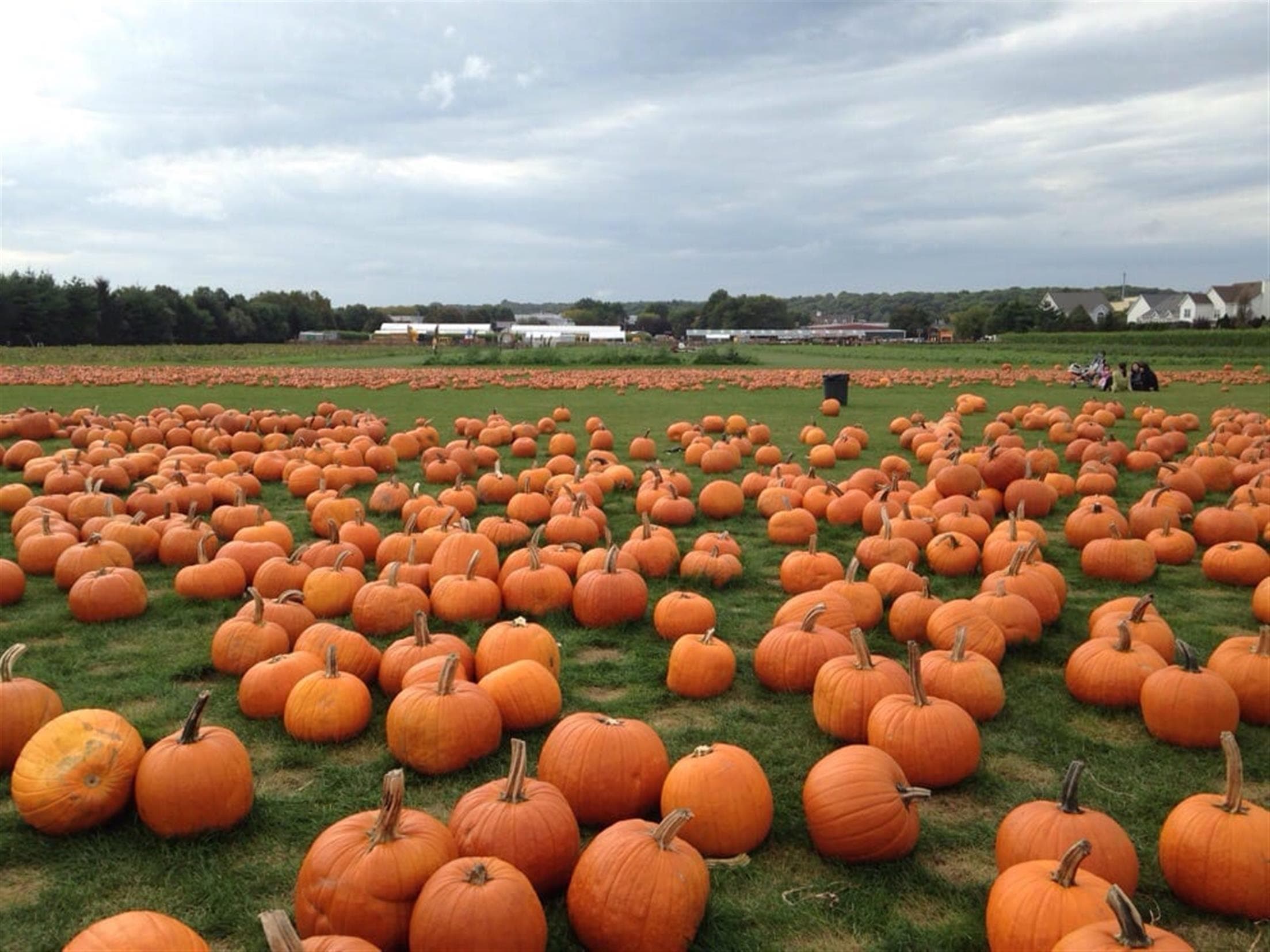 F&W Schmitt’s Family Farm